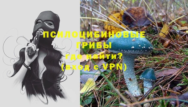 МДПВ Абинск