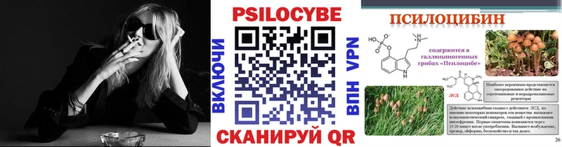 дарнет шоп  Болохово  Галлюциногенные грибы Psilocybine cubensis 
